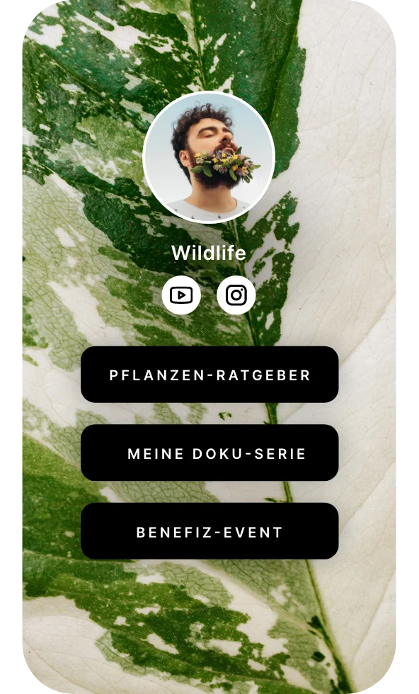 wonderlink - reference 18